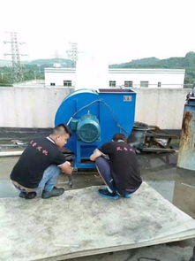 深圳廚房抽風(fēng)設(shè)備公司 專業(yè)安裝工程與全方位服務(wù)